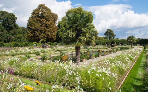 Sjunken trädgård på Kensington Palace