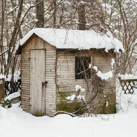 gartenschuppen mit schnee im vinter, hydda med snö i en trädgård på vintern