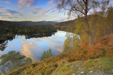 Glen Affric