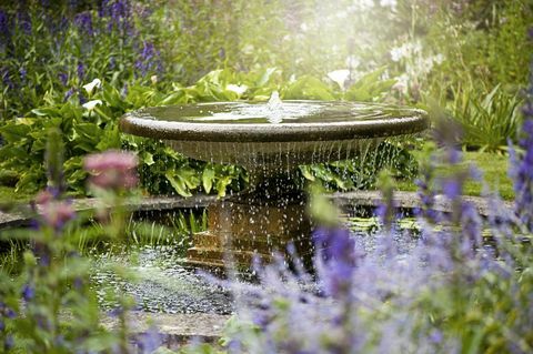 Vacker sommarträdgård med vattenbrunn i bland blommorna, i det disiga solskenet