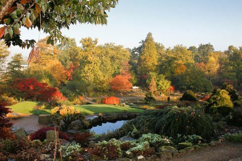 RHS Garden Wisley: Rock Garden and Wild Garden på Wisley på hösten