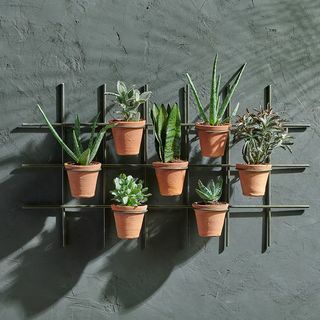 Jara Terracotta Wall Wall Planter