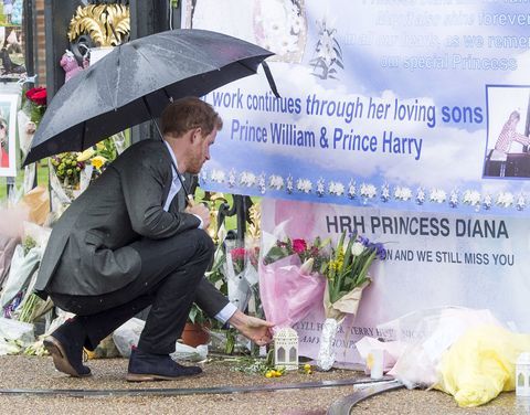 Prins Harry hyllar prinsessa Diana