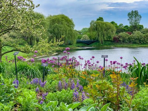 chicago botaniska trädgård