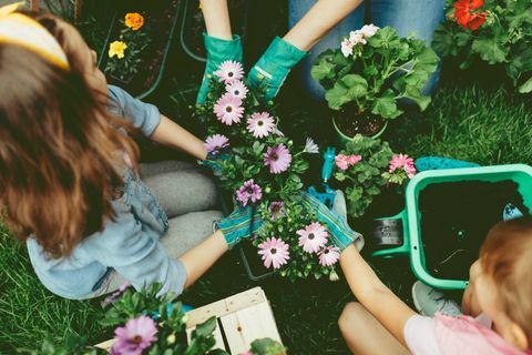 Familj som planterar blommor tillsammans