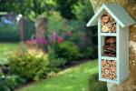 Alys Fowlers 5 bästa tips för att locka bin till din trädgård