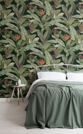 Vintage Botanicals-samling av MuralsWallpaper, med detaljerade vintage-målningar av Pierre-Joseph Redouté