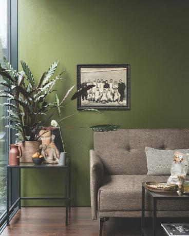 Green Farrow & Ball vardagsrum