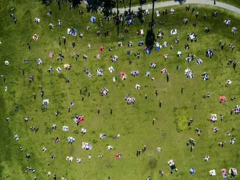 Översiktsbild av människor i en stadspark på en sommardag som sitter, står, på picknickmattor.