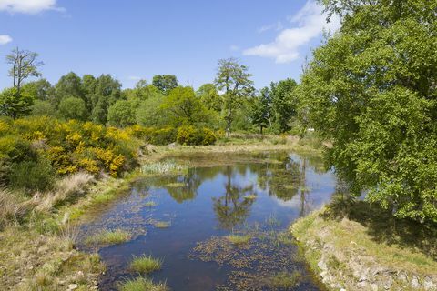 rosa slott till salu i Aberdeenshire