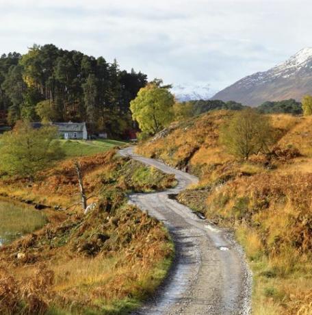 Glen Affric