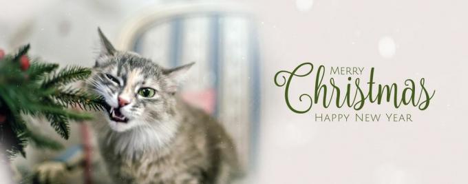söt rolig grå katt med julgran julprydnad banner med text och bokeh