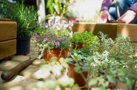 Person som förbereder fönsterboxen för plantering