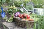5 trädgårdsjusteringar som förbättrar din mentala hälsa och ditt välbefinnande