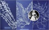 Internationell kvinnodag: Anna Atkins inspirerade botaniska tapeter är helt enkelt elegant