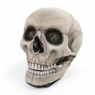 Skull Bean Bag Stol