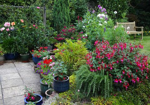 Ljusa blommor i engelsk trädgård med uteplatser och blomsterrabatter.