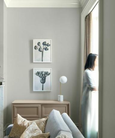 Årets Benjamin Moore Färg 2019 - Metropolitan AF-690