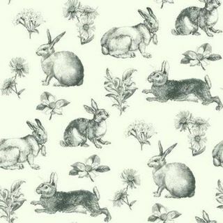 Inspirerad av Color Bunny Toile At4263 Bakgrund