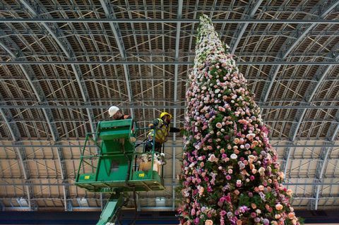 47ft blommig julgran avslöjades på St Pancras International Station, London.