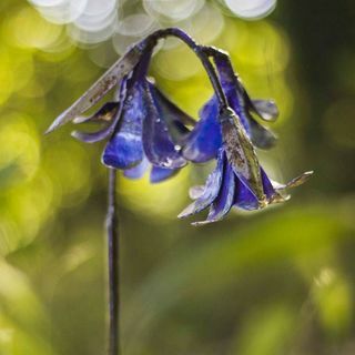 Bluebell Handgjord trädgårdsskulptur i återvunnen metall