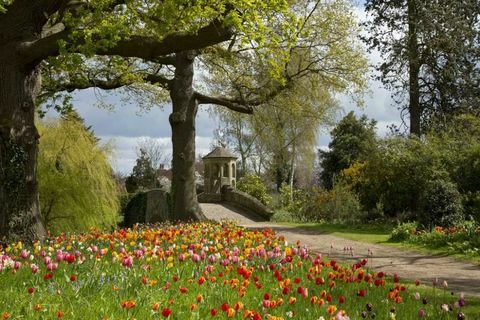 Dunsborough Park - Surrey - blommor - Savills