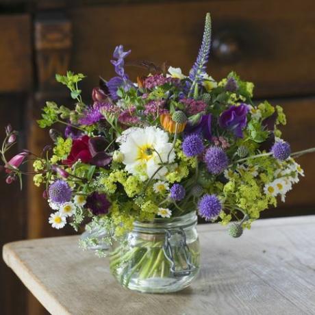 vanliga gårdsblommor, somerset