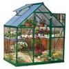 Mini växthus är trädgårdsutvecklingen som fungerar för alla utrymmen