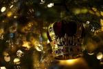 Drottningen gick ut vid dekoration av Windsor Castle till jul