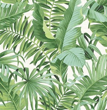 Palm Leaf Wallpaper