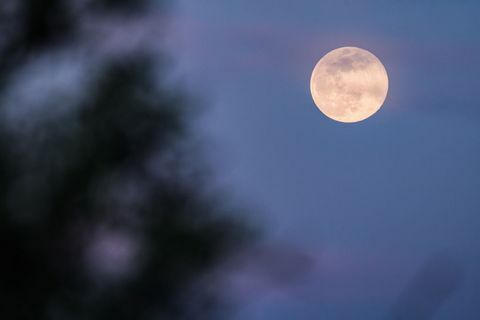 Fullmånens stigning, en supermåne, kallas också ...