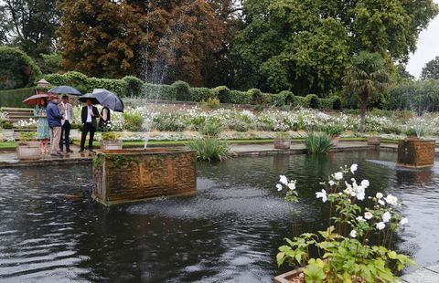 William, Harry och Kate i prinsessan Diana memorial garden