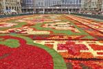 Denna spektakulära blomstermatta är gjord av 700 000 Begonia kronblad