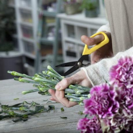 florist skärblomma med beskärningssax