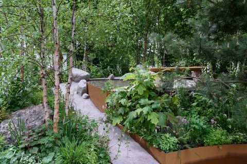 Family Monsters Garden, designad av Alistair Bayford - Chelsea Flower Show 2019
