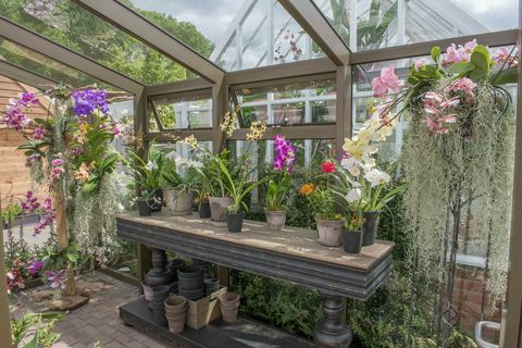 Hartley Botanic - Chelsea Flower Show