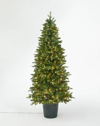 Bala Green Potted Pre-lited Christmas Tree, 7ft