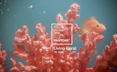 Årets Pantonefärg 2019 - Living Coral