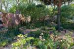 Chelsea Flower Show: Monty Don prisar Nurture Landscapes Garden