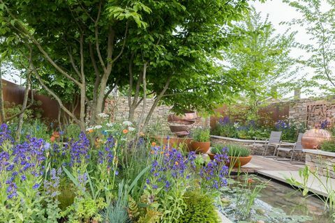 Silent Pool Gin Garden designad av David Neale - Space to Grow - Chelsea Flower Show 2018