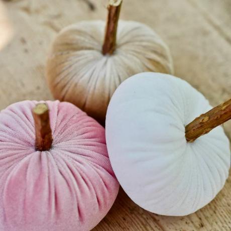 Pastell Velvet Pumpkin Trio