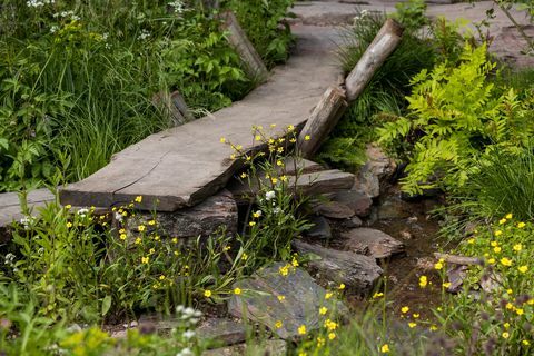 ett rewilding brittisk landskap designat av lulu urquhart och adam hunt sponsrat av projekt som ger tillbaka till stöd för rewilding britain show garden rhs chelsea flower show 2022