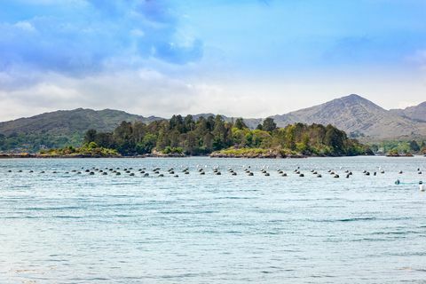 glengarriff castle till salu i irland