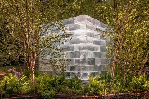 the plantman's ice garden designad av john warland sponsrad av plantman co sanctuary garden rhs chelsea flower show 2022