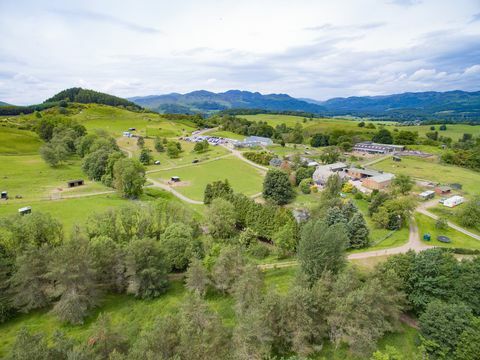 Vilda djurpark till salu i Skottland