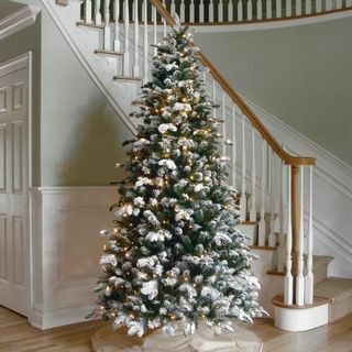 6.5 'Flockade Everest Fir Tree