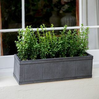 Vence Window Box