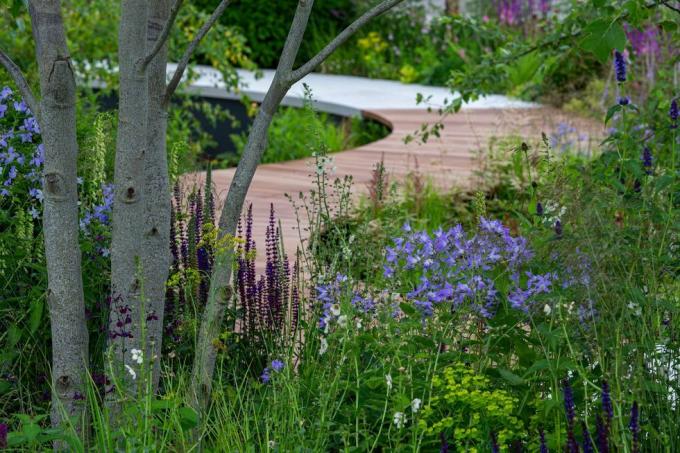 tom simpson får guld för cancerforskning uk legacy garden på rhs hampton court 2021