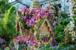 Kew Gardens Orchid Festival 2019 Datum och biljettinfo