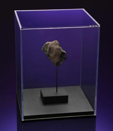 hundkoja meteorit christies auktion